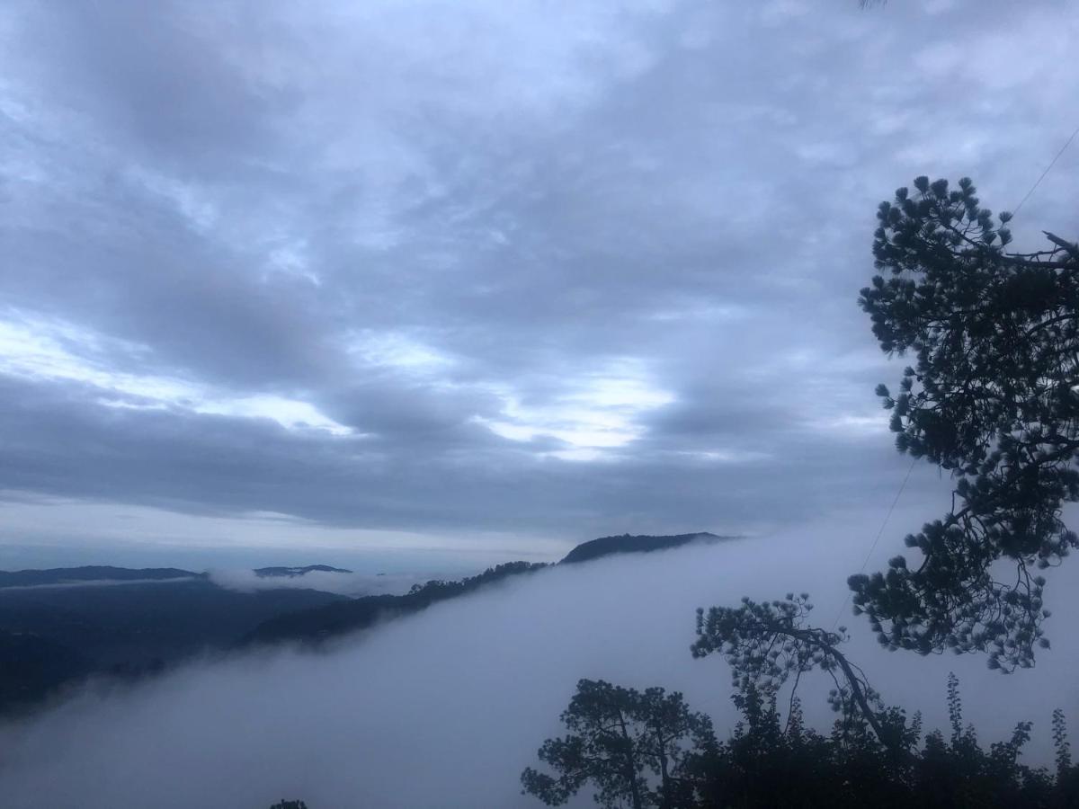 西姆拉The Westberry 50Mtrs Offroading And 50 Mtrs Nature Path住宿加早餐旅馆 外观 照片