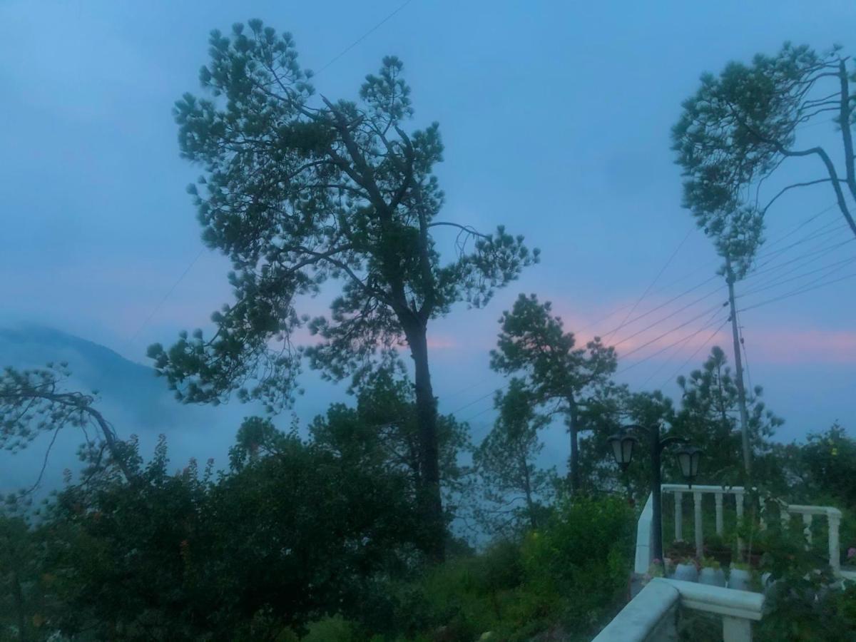 西姆拉The Westberry 50Mtrs Offroading And 50 Mtrs Nature Path住宿加早餐旅馆 外观 照片